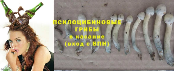 бошки Козельск