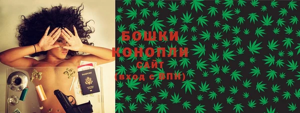 бошки Козельск
