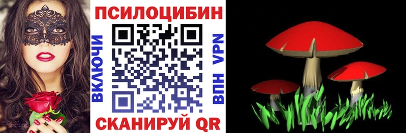 Галлюциногенные грибы MAGIC MUSHROOMS  Купить  Шагонар 